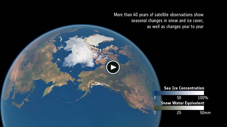 Change in the Arctic