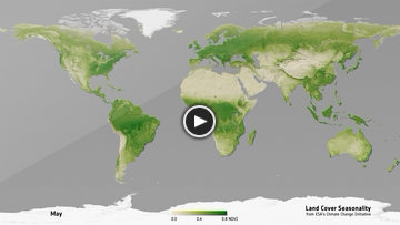 Land Cover Seasonality NDVI