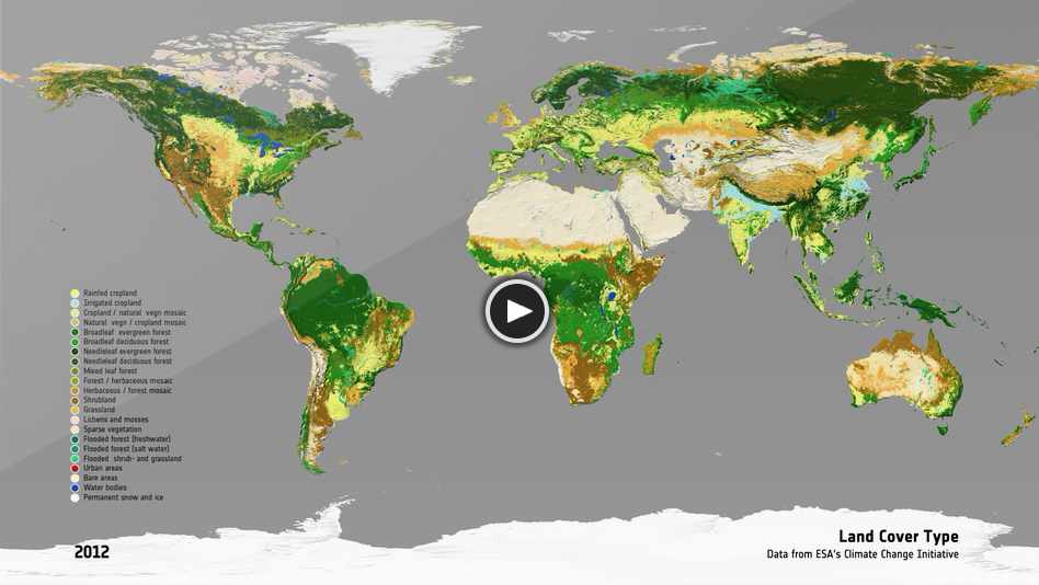 Land Cover Type