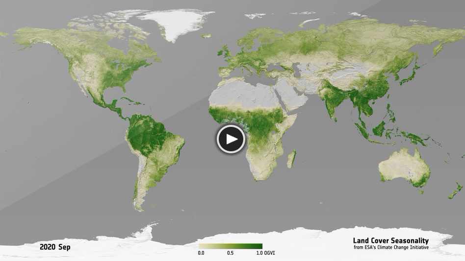 Land Cover Seasonality OGVI