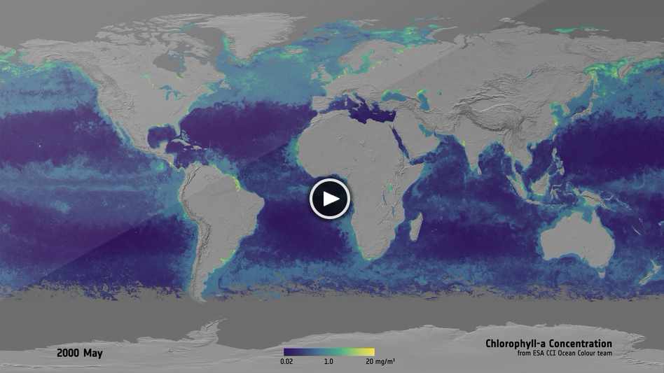 Oceancolour Chl-a Concentration