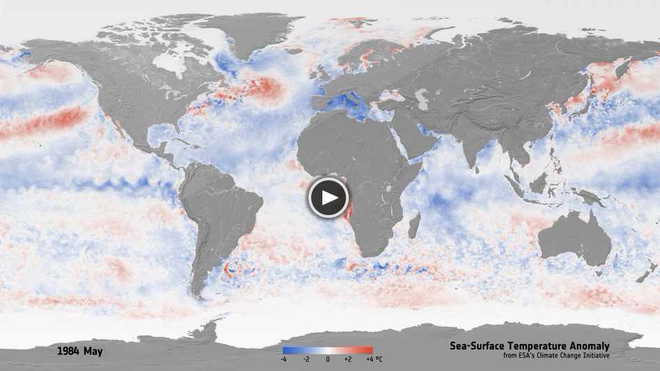 Sea Surface Temperature Anomaly