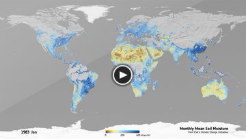 Monthly Mean Soil Moisture