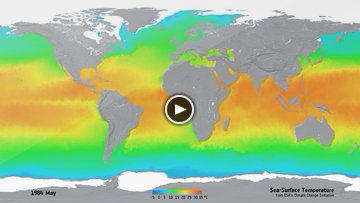 Sea-Surface Temperature