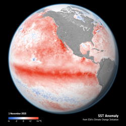 SST-anomaly-globe.jpg