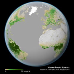 biomass-globe.jpg