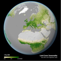 landcover-ogvi-globe.jpg