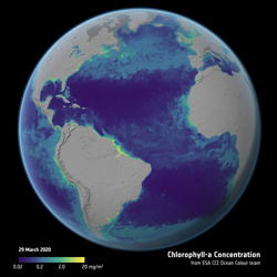 oceancolour-globe-v2.jpg