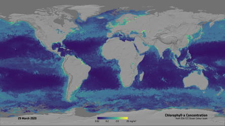 oceancolour-map-v2.jpg