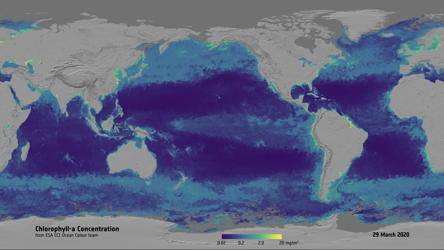 ooceancolour-map2-v2.jpg