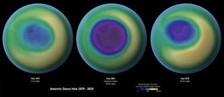 ozone-1979-2019.jpg