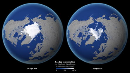 seaice-1979-2016.jpg