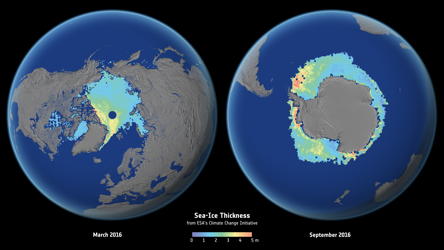 seaice-thickness-twoglobes.jpg