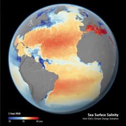 salinity-globe.jpg