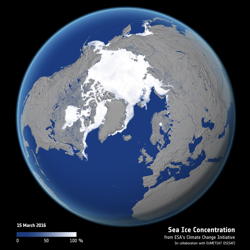 seaice-globe.jpg