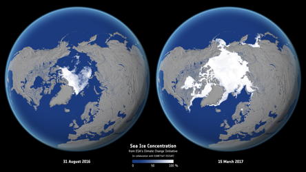 seaice-twoglobes-north.jpg